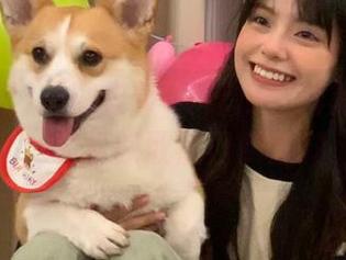 一键登录51吃瓜爆料黑料导航，轻松获取热门瓜爆料