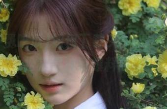 如何下载91免费吃瓜，轻松获得独家爆料内容
