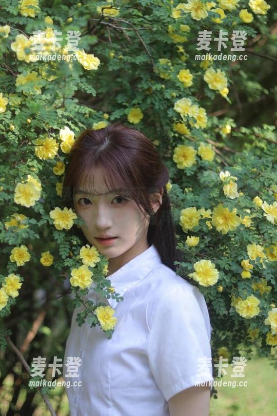 如何下载91免费吃瓜，轻松获得独家爆料内容