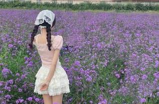 吃瓜网朝阳首页推荐，永不迷路一站式吃瓜体验