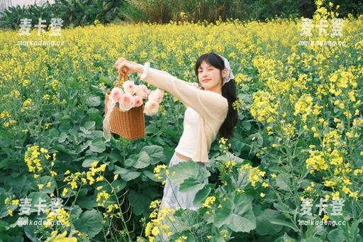 苹果版黑料不打烊完整版从哪看？优质线路全解析