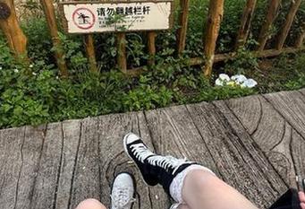 51黑料不打烊视频最新线路曝光，吃瓜少女必看合集