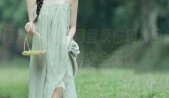 黑料网官网登录密码找回流程，保障账号安全无忧